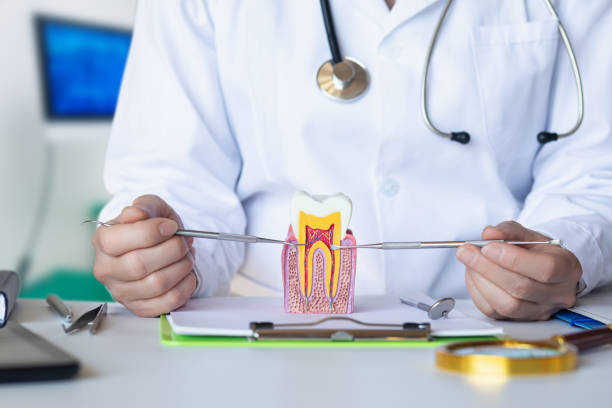 Best Emergency Dental Services for Seniors in Baldn, WI